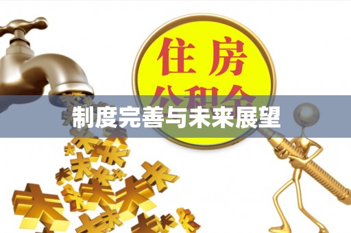 桦甸制度完善与未来展望