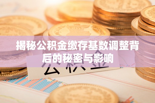 桦甸揭秘公积金缴存基数调整背后的秘密与影响