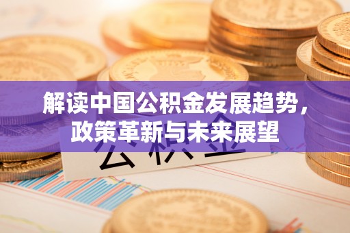 桦甸解读中国公积金发展趋势，政策革新与未来展望