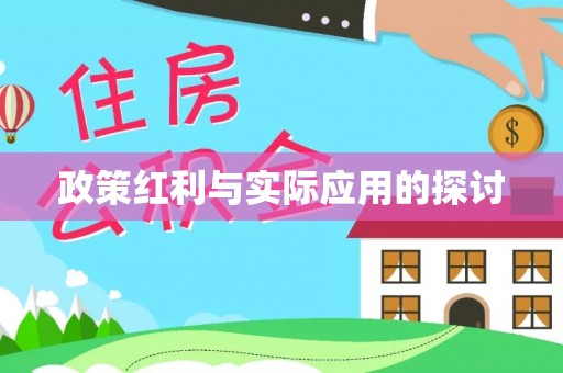 桦甸政策红利与实际应用的探讨