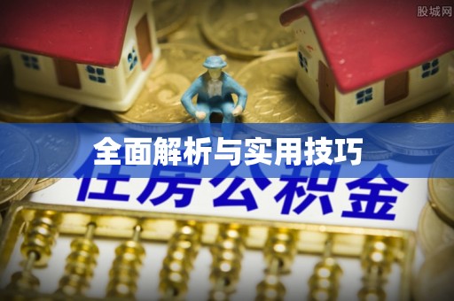桦甸全面解析与实用技巧