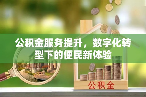 桦甸公积金服务提升，数字化转型下的便民新体验