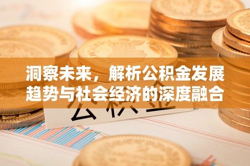 桦甸洞察未来，解析公积金发展趋势与社会经济的深度融合