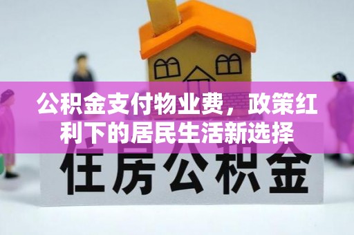 桦甸公积金支付物业费，政策红利下的居民生活新选择
