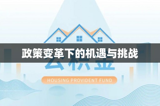 桦甸政策变革下的机遇与挑战
