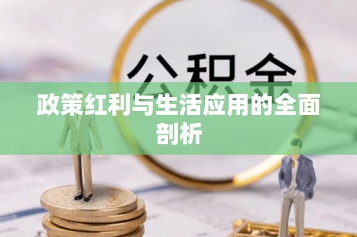 桦甸政策红利与生活应用的全面剖析