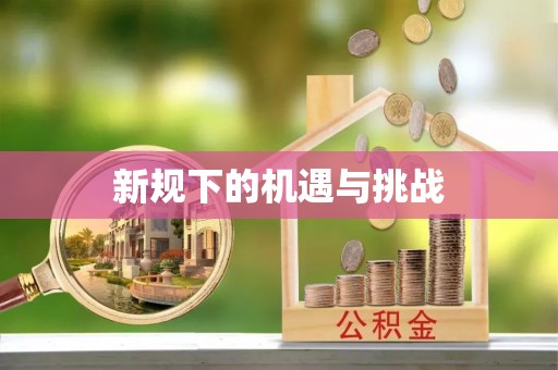 桦甸新规下的机遇与挑战