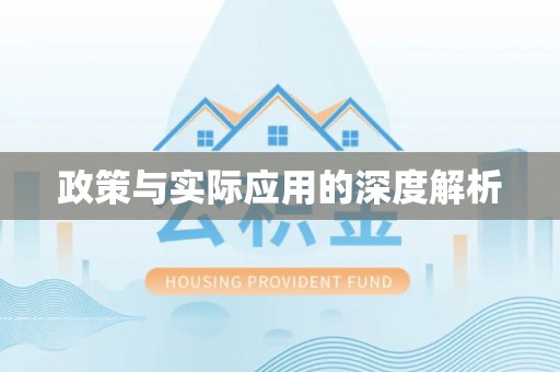 桦甸政策与实际应用的深度解析
