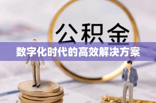 桦甸数字化时代的高效解决方案