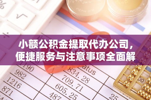 桦甸小额公积金提取代办公司，便捷服务与注意事项全面解析