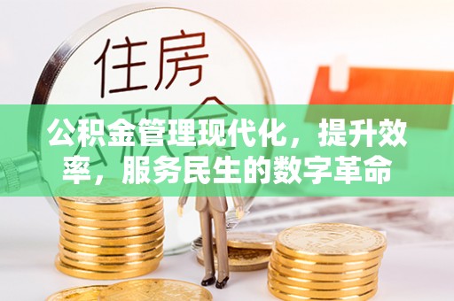 桦甸公积金管理现代化，提升效率，服务民生的数字革命