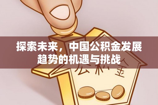 桦甸探索未来，中国公积金发展趋势的机遇与挑战
