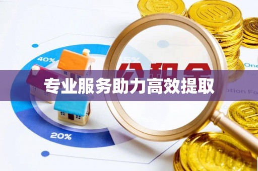 桦甸专业服务助力高效提取
