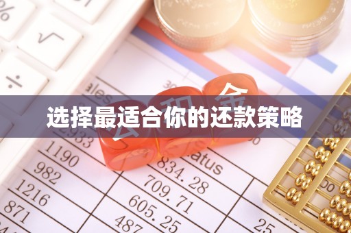 桦甸选择最适合你的还款策略