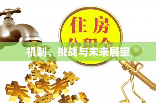 桦甸机制、挑战与未来展望