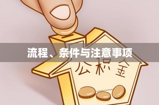 桦甸流程、条件与注意事项