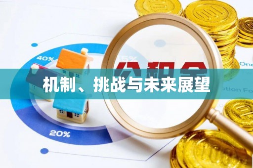 桦甸机制、挑战与未来展望
